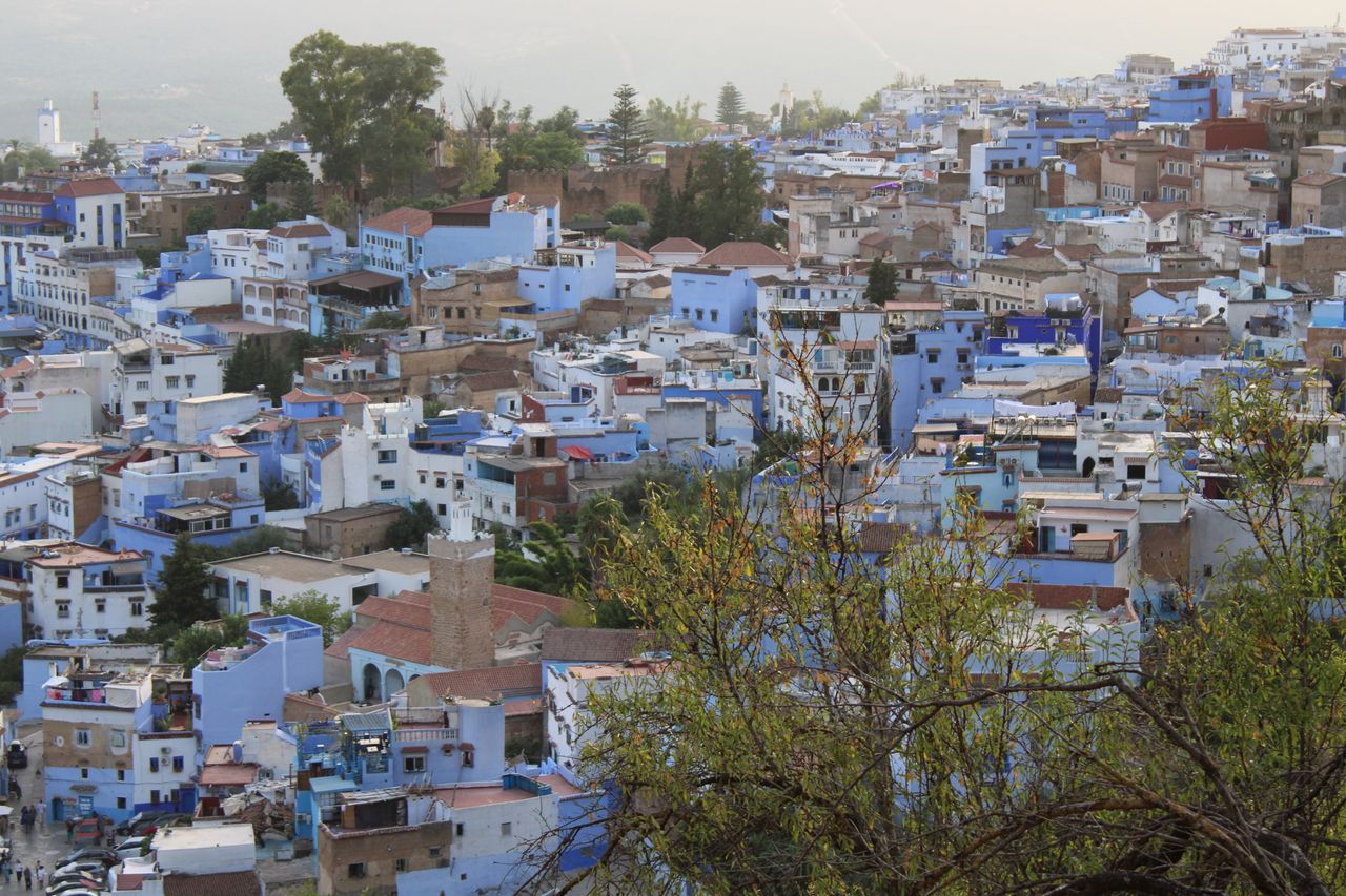 services-10 Stunning aerial view of Chefchaouen's iconic blue buildings nestled in Morocco's Rif Mountains.