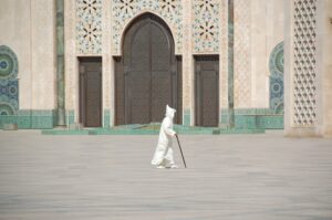 theultimatemoro.moroccoofficial.2026