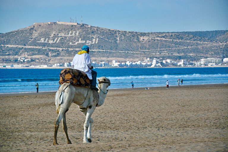 atmosferas moroccoofficial 8197176
