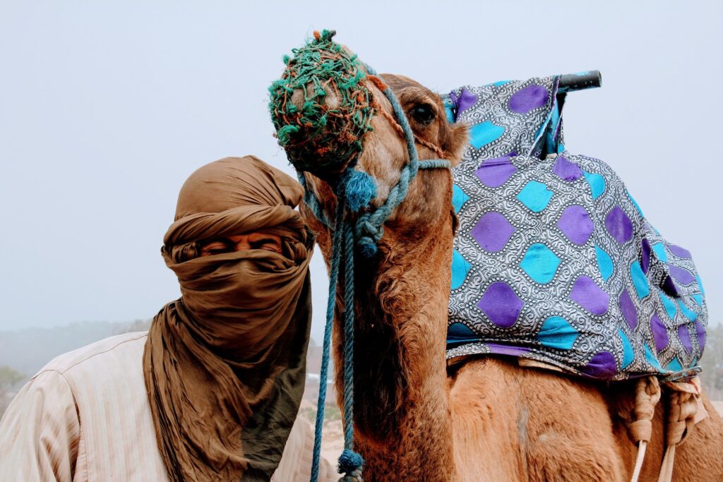 Sahara Desert Morocco: The Ultimate Travel Guide (2026) instagramfotografin camel 2465551 1920