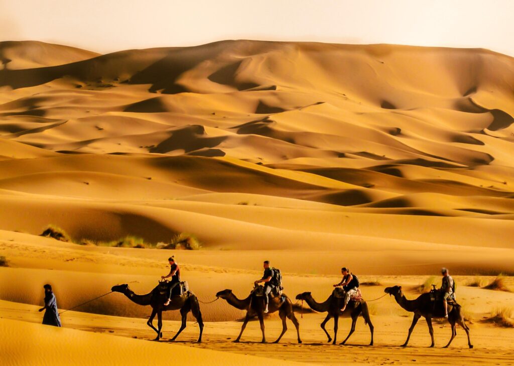 mehdibenbouchaib desert 5074739 1920