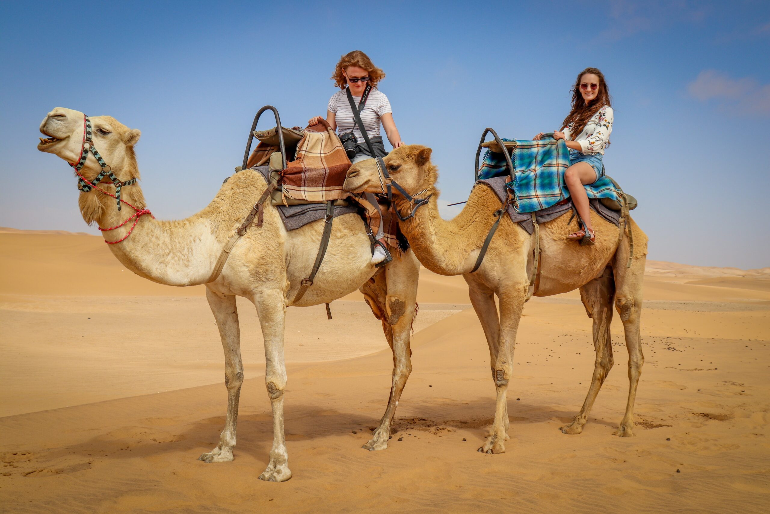 namibianheart camel 4785794
