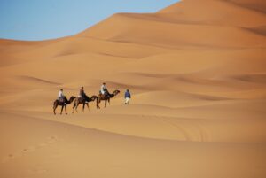 nasalune fck desert 1914052