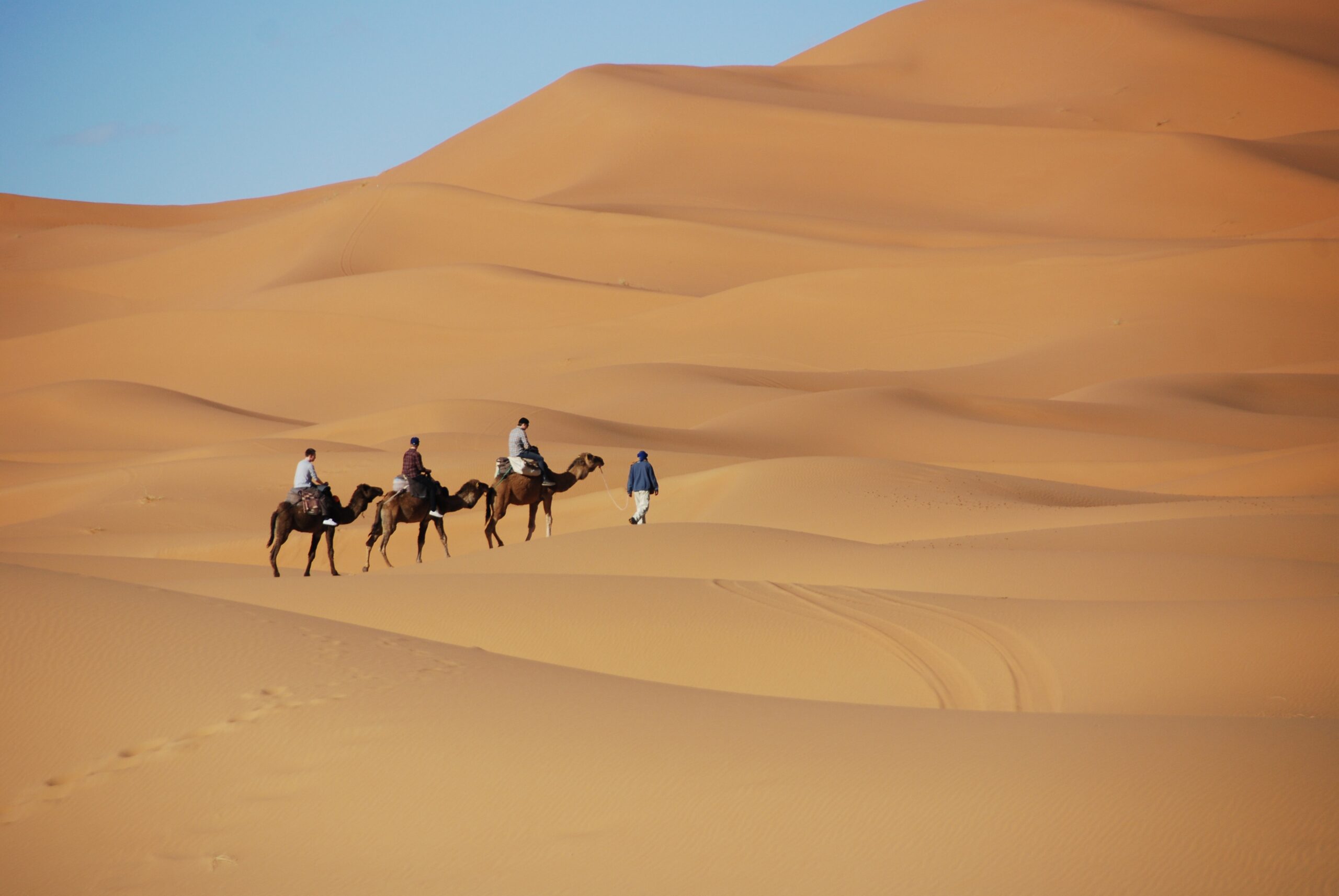 nasalune fck desert 1914052